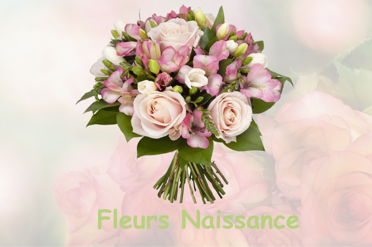 fleurs naissance MONTARGIS